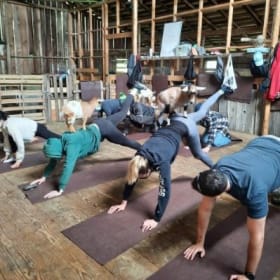 Kitsap Goat Yoga for 2 item