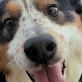 Single Item - SHIPPING FEE item