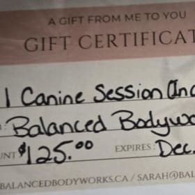 Gift Certificate for a Canine Bodywork Session: $125 Value item