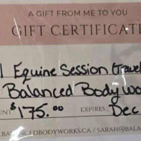 One Equine Bodywork Session: $175 Value item