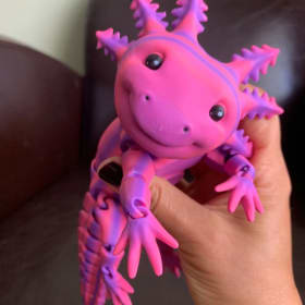 3-D printed axolotl item