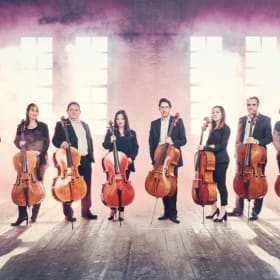 Ô-Celli fait son cinéma - Régulier item