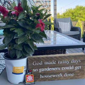 Plant & Wood Sign item