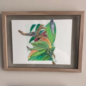 Female Northern Cardinal in Plum Tree item