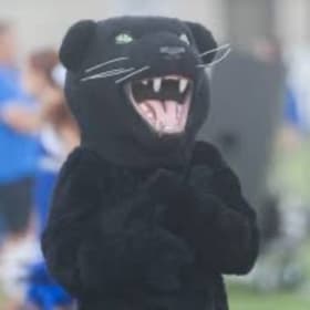 Mascot Appearance on Game Day item