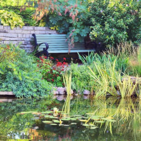 Sponsor this bench! item