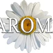 Sedona Spa Diffuser and Essential Oils: $65 Value item