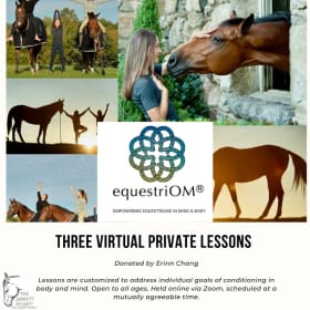 Three Virtual Mind/Body Conditioning Lessons from Equistrom item