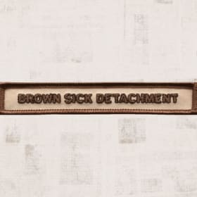 Brown Sick Detachment Segment Patch - Oct to Nov 1846 item
