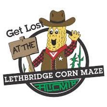 Family Adventure Trio – Climb & Maze item