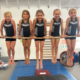 Gymnastics Summer Camp item