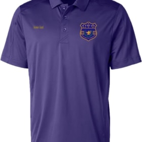 Epsilon Phi Chapter Polo shirt (sizes 3XL-4XL) item