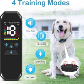 Dog Training Collar with Remote item