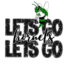 ✨ Let’s Go Hornets Glitter Tee – Azle Pride Edition ✨Youth item