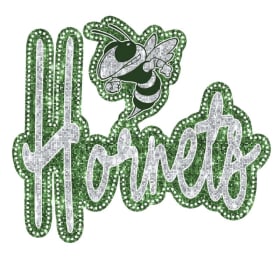 ✨💚 Azle Glitter Hornets Tee – Adult Spirit Wear 🖤✨ item