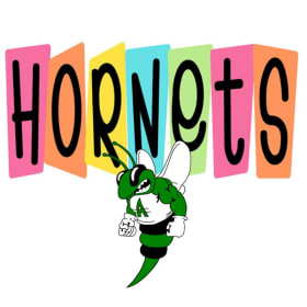 👕 Retro Hornets Spirit Tee – Adult Unisex 👕 item