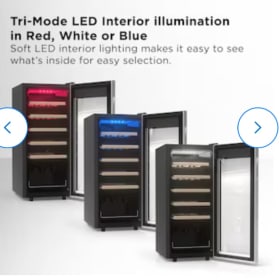 TCL-18-wine bottle refrigerator item