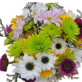 Little Girls Bloom & Create item