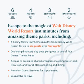 Disney World Wonder item