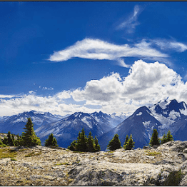 “Marmot’s Mountain World”  by Howard Smith item