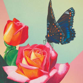 Stop and Smell the Roses | Alex Nason item