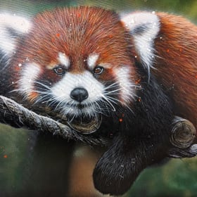 Oeuvre de Laurie Marois, Artiste peintre item