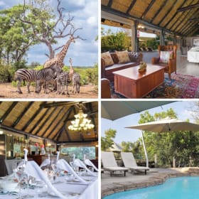 Safari Serenity item