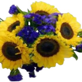 Sunflower Bouquet item