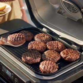 Ninja Woodfire® Pro 4-in-1 XL Outdoor Grill & Smoker with Bu item