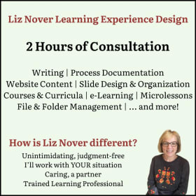 2 Hours of Professional Consultation with Liz Nover item