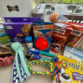 2/3Y Basket: Paw-some Goodies Basket item