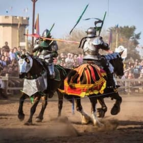 A Royal Day at the Renaissance Festival item