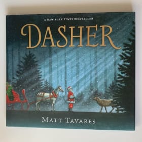 Dasher - Matt Tavares item