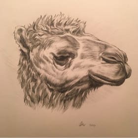 Lot 10. Sketch Portrait item