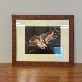 "Capture Owl" by Tony Morano item
