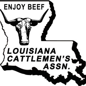 T-Shirt 2nd Side logo (Right front pocket - small logo) item