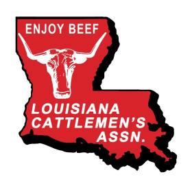 T-Shirt 2nd Side logo (Right front pocket - small logo) item