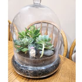 Wine and Succulent Set item