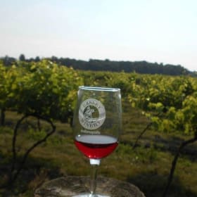 2 Complimentary VIP Tasting Cards at Easley Winery item