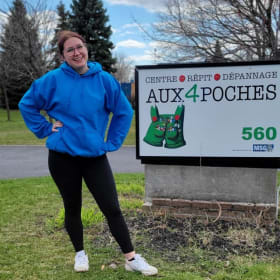 Chandail à capuchon (Hoodie) bleu (Medium) item