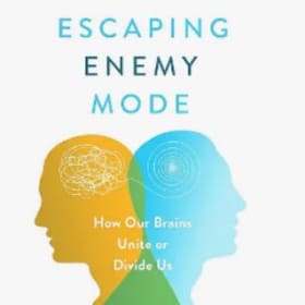 Escaping Enemy Mode item