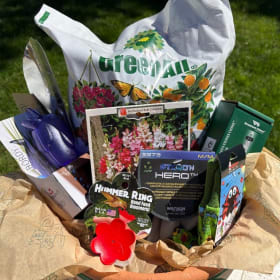 13. Spring has Sprung item