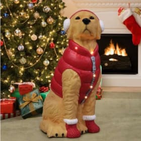 Home Depot - LIfe size Golden - $60 Value item