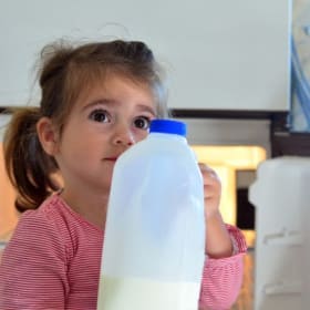 3. Groceries for a family of 4 for 1 week - USA item