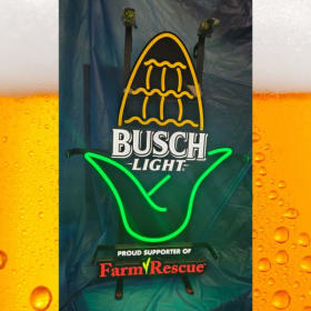 Get Lit Package item