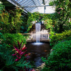 Two passes to Niagara Parks attractions item