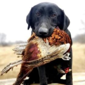 Exclusive Hunting Club item