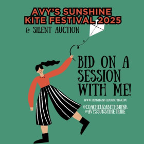 Mind Body Reset Somatic Experiencing Session item