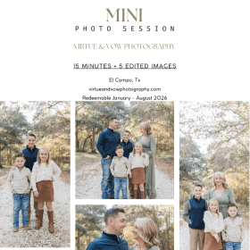 Mini Photo Session item