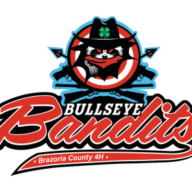 Bullseye Bandits 4H Practice item